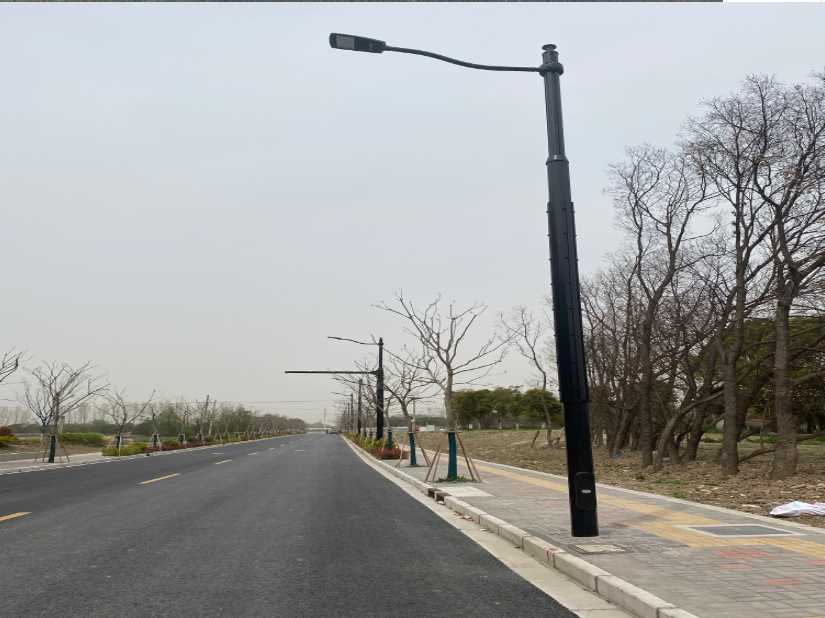 岳麓区上海综合杆 太阳能路灯工程